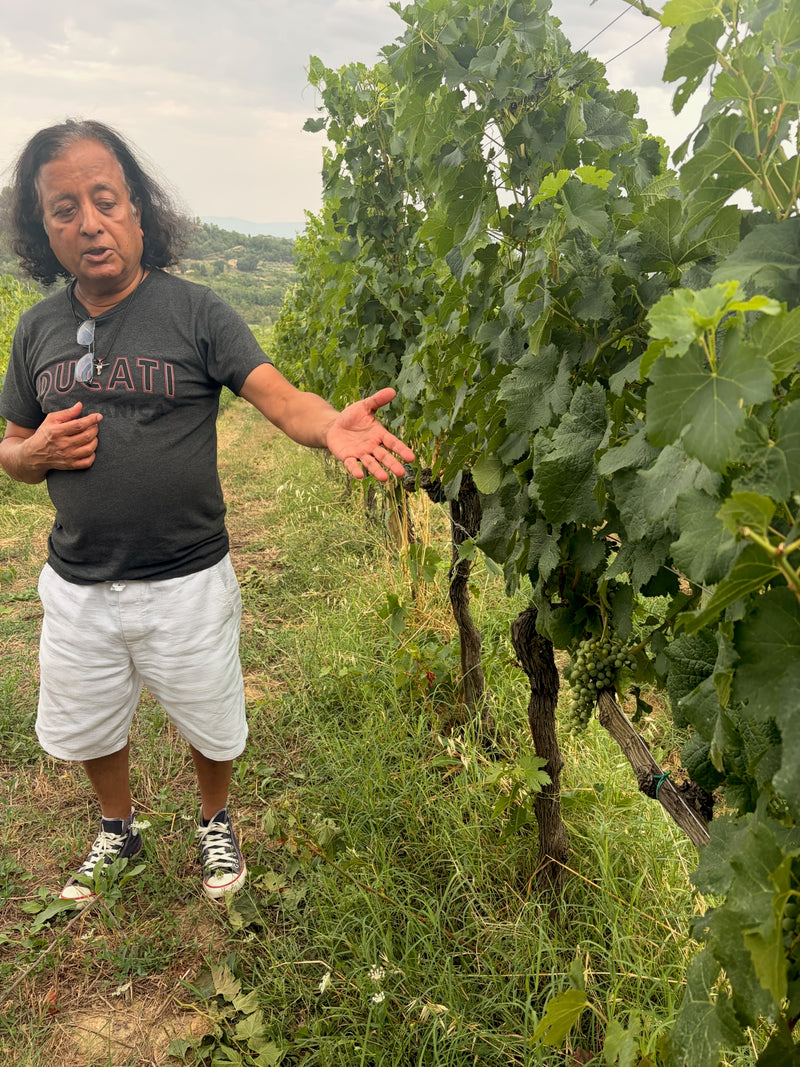 Vinbonde i vinmarken hos Manvi Winery med druer